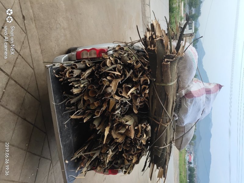 供应合欢皮，大货供应合欢皮新货合欢皮