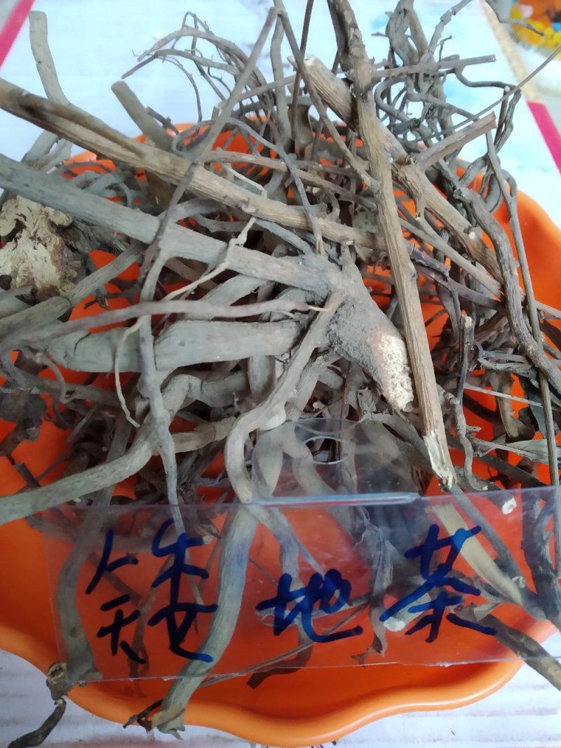 矮地茶