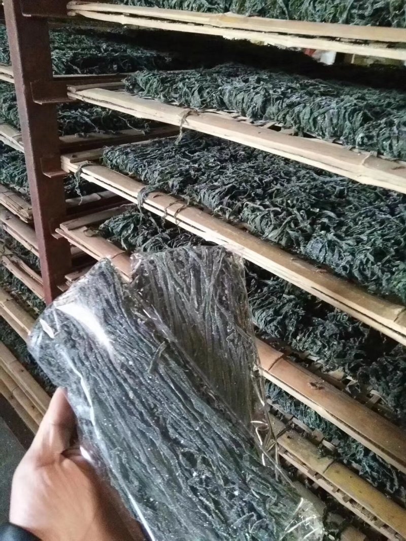 海南养生海带丝可视频看货上门提货