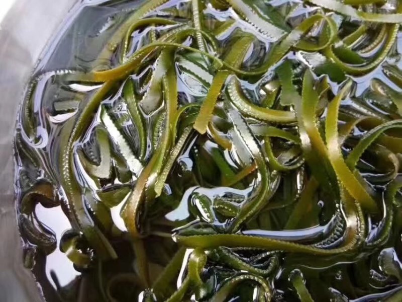 海南养生海带丝可视频看货上门提货
