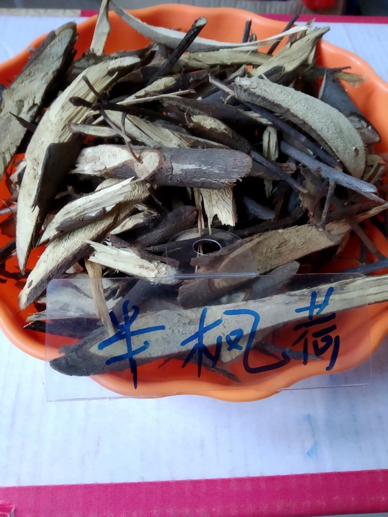 半枫荷