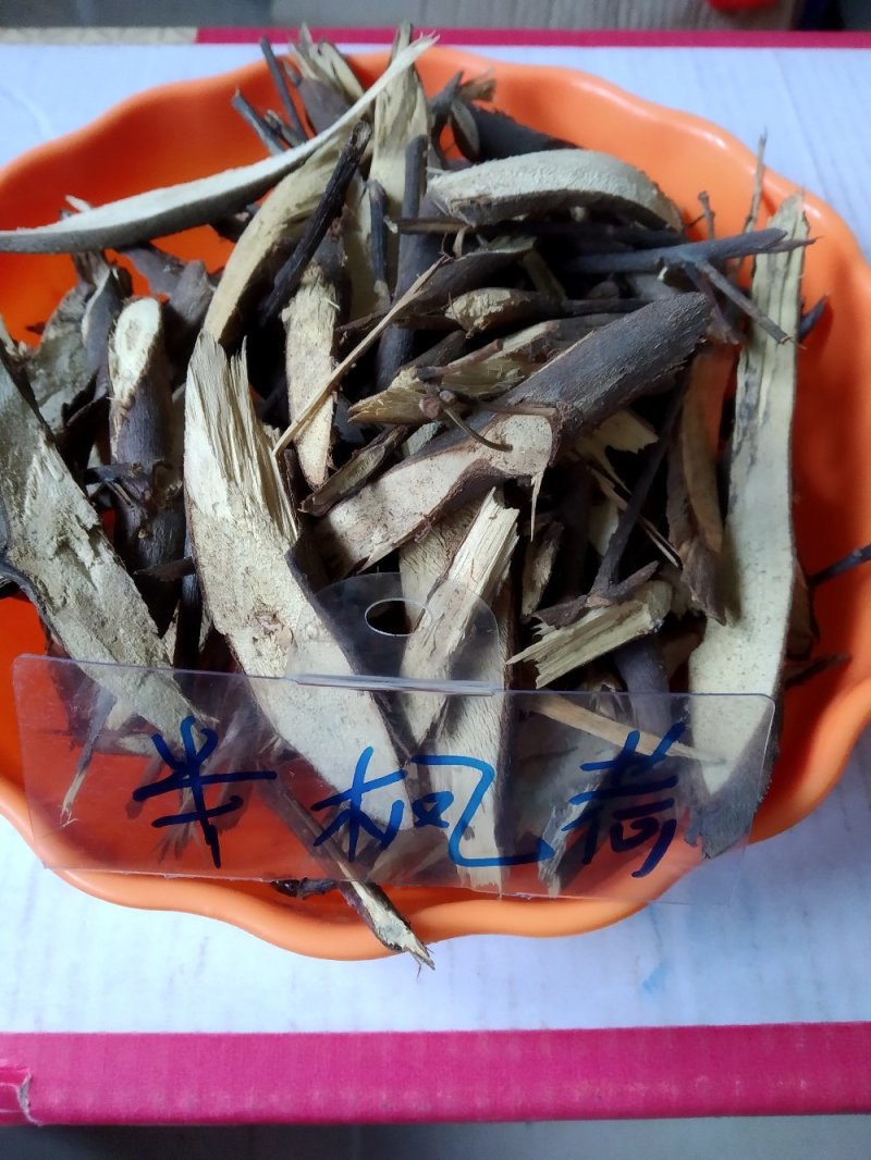 半枫荷