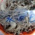 水田七野生干货无硫，鲜货