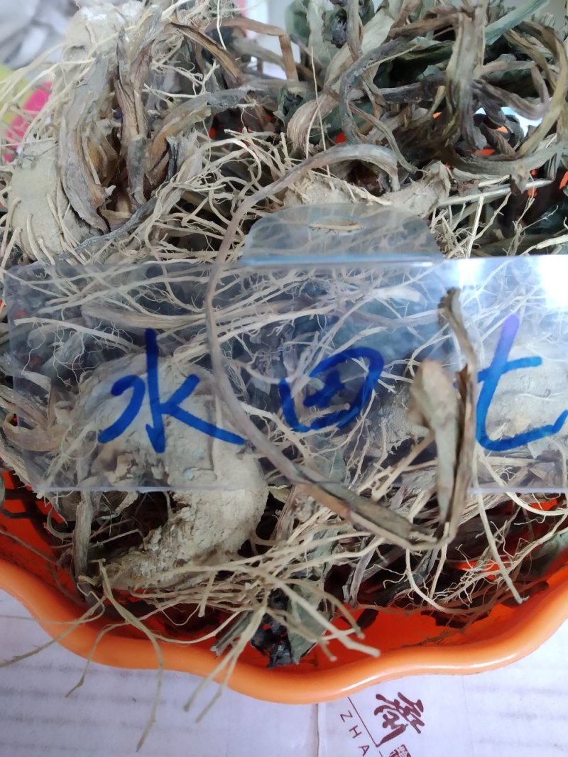 水田七野生干货无硫，鲜货