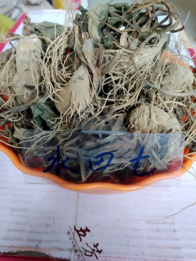 水田七野生干货无硫，鲜货