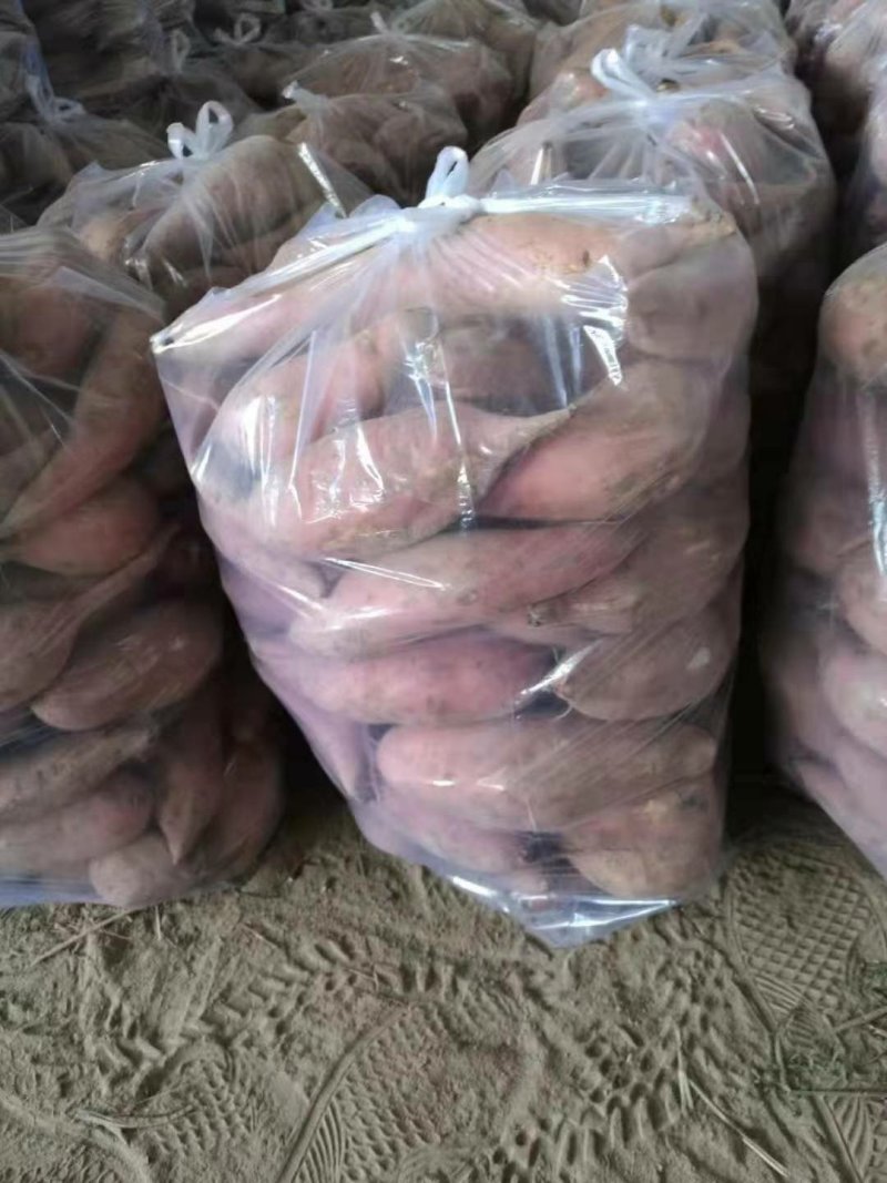 开封龙薯九号红薯3两以上基地直供口感甜糯精品供应