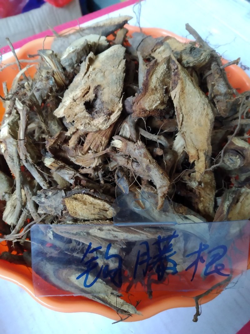 钩藤根