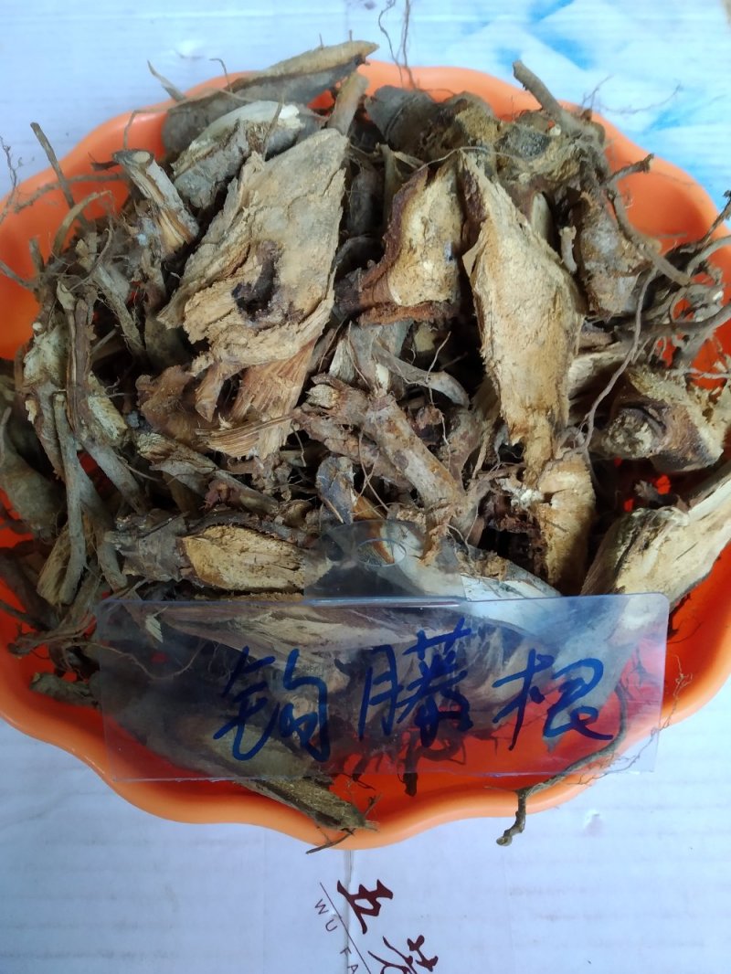 钩藤根