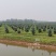 北美蓝杉蓝杉松树苗圃大量供应大小规格均有