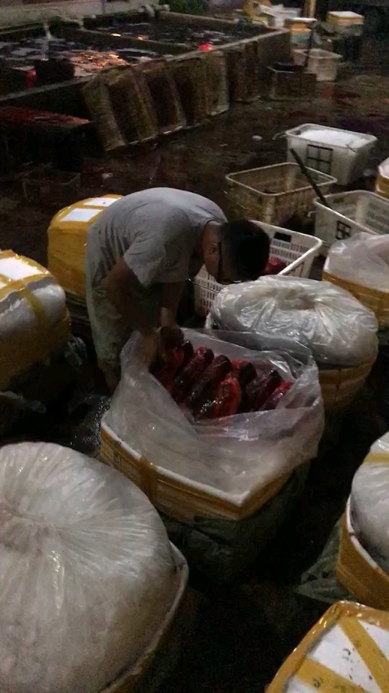 南湾湖有机鱼头基地直销