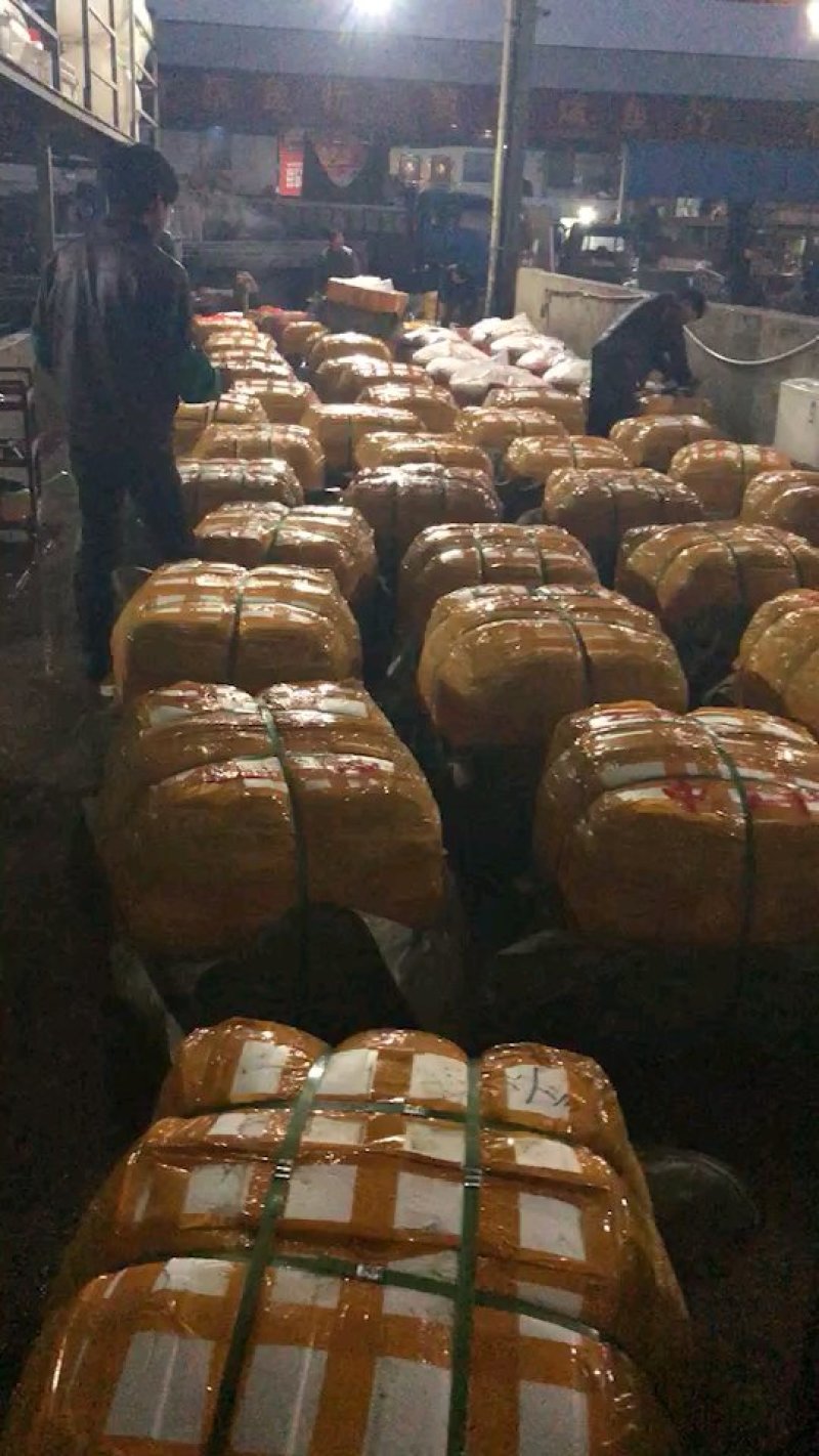 南湾湖有机鱼头基地直销