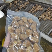 黄蚬子即食大量现货批发走量老板请跟我们联系价格再议厂家一