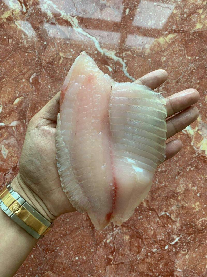 刺身级鲷鱼片出口标准活鱼生产质量稳定