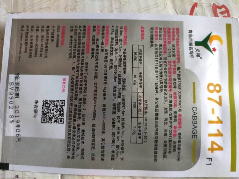 大白菜种子87114大白菜种子杂交高产抗病大白菜种子