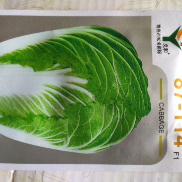 大白菜种子87114大白菜种子杂交高产抗病大白菜种子