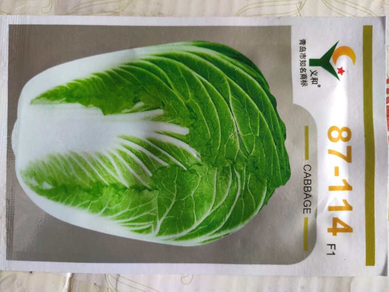 大白菜种子87114大白菜种子杂交高产抗病大白菜种子