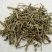 猫须草广西干货量大从优常年经营各种中药材