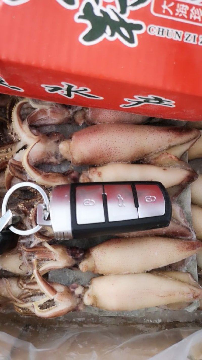 大籽乌