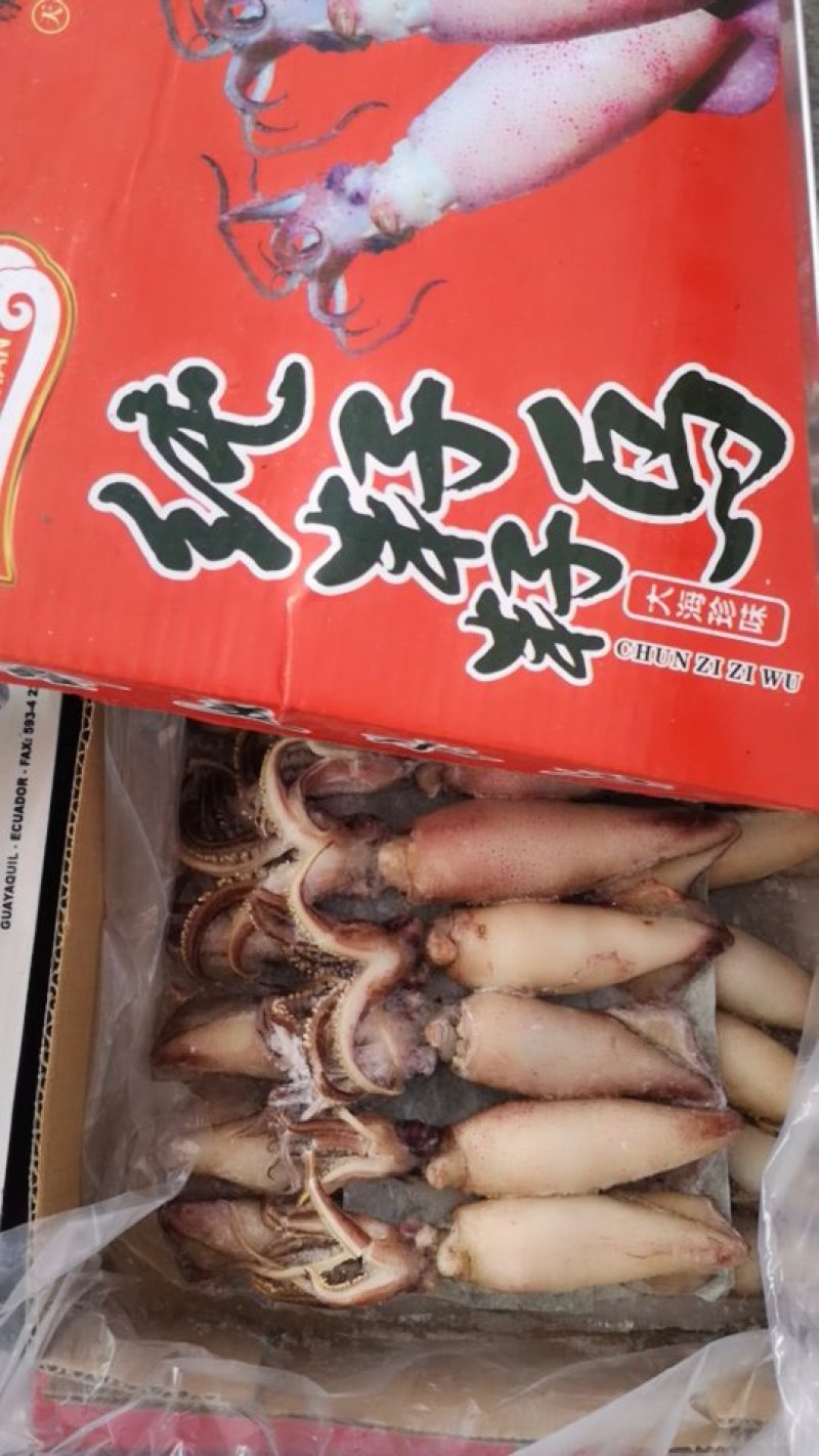 大籽乌