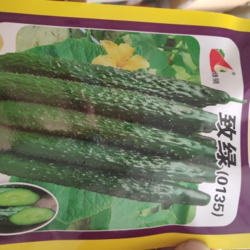 黄瓜种子绿领致绿(0135)黄瓜种子