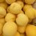 供应精选，电商，罐头厂，黄毛桃品种全色泽金黄量大