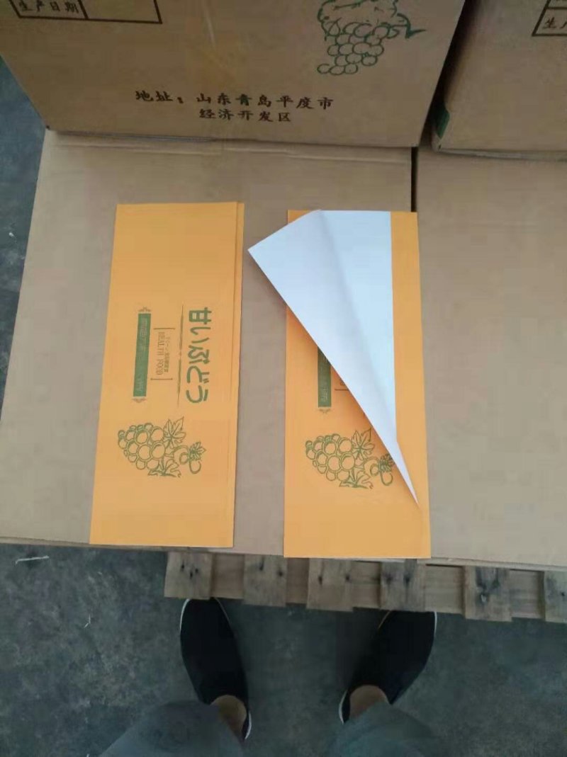 阳光玫瑰葡萄专用袋，葡萄包装专用袋，梨子套袋，桃子套袋等