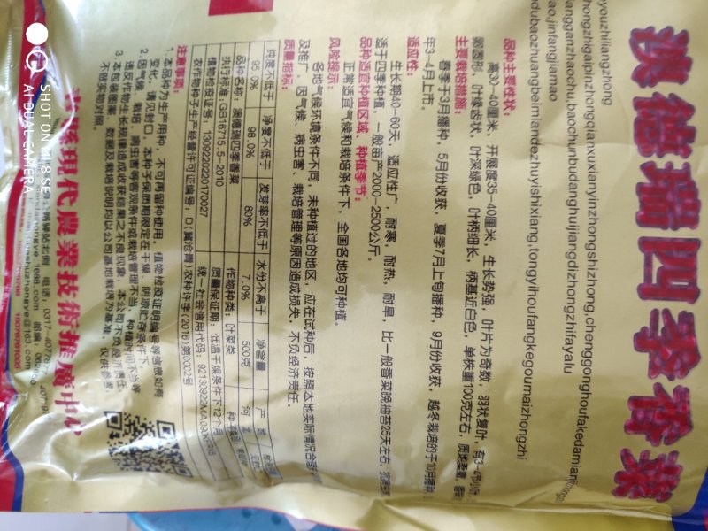 香菜种子奥德瑞四季香菜种子