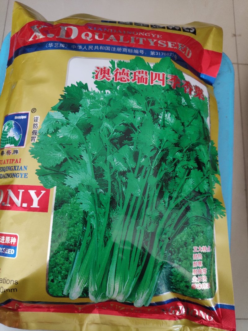 香菜种子奥德瑞四季香菜种子