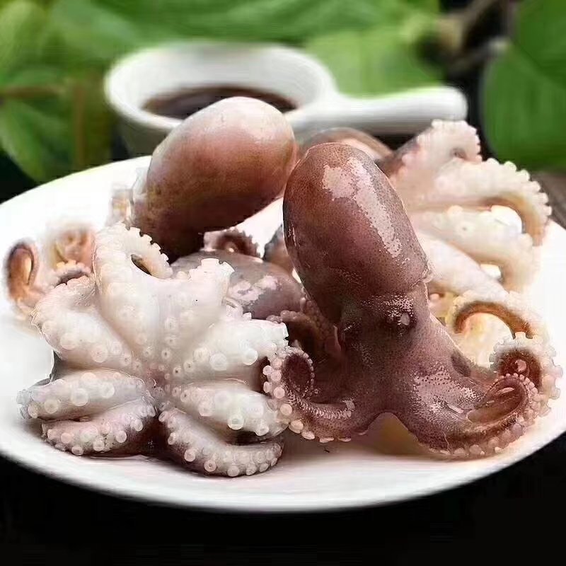 迷你小八爪
