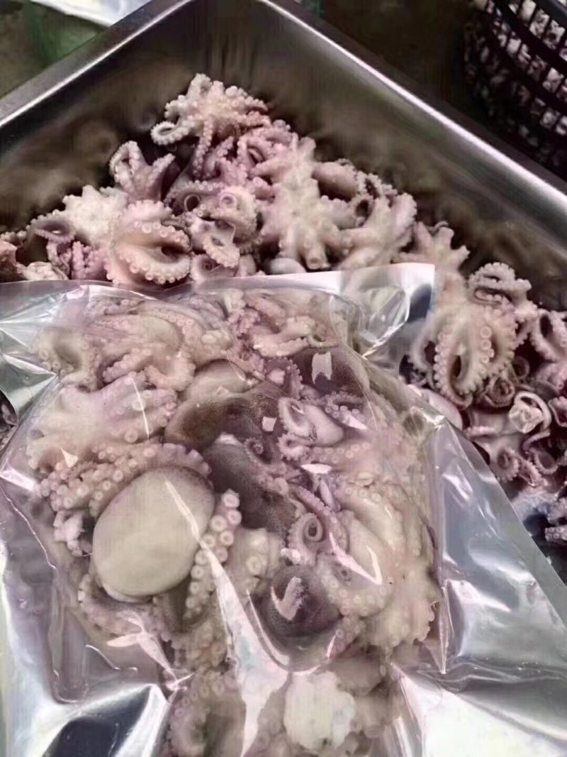 迷你小八爪