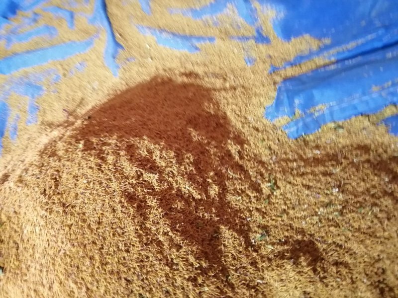 牡丹花蕊茶
