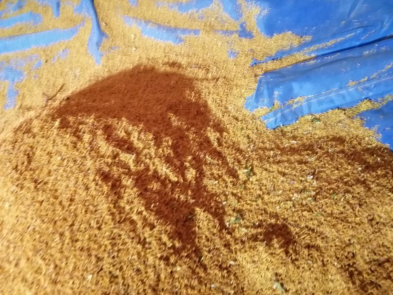 牡丹花蕊茶