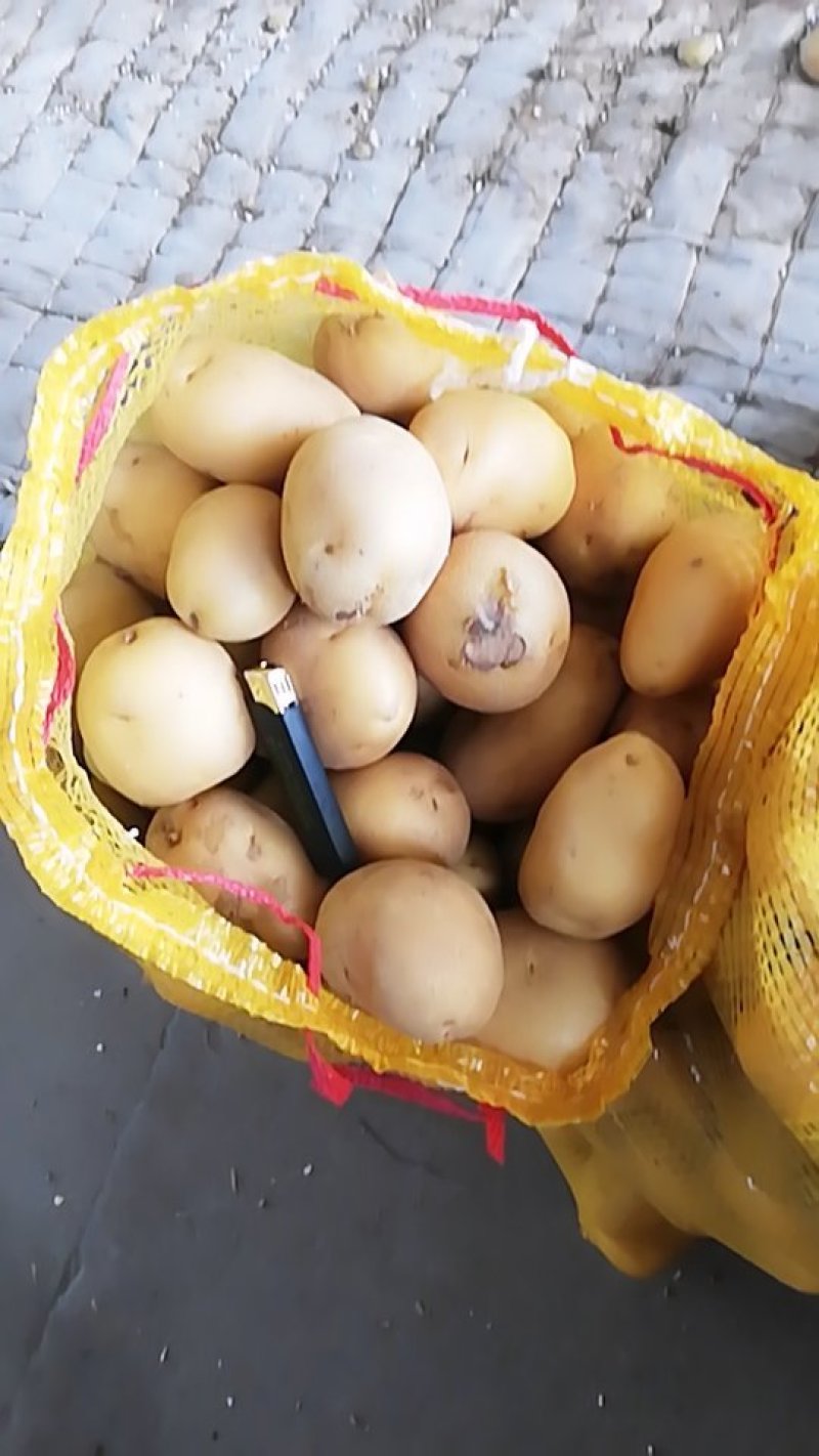 1到3两新土豆