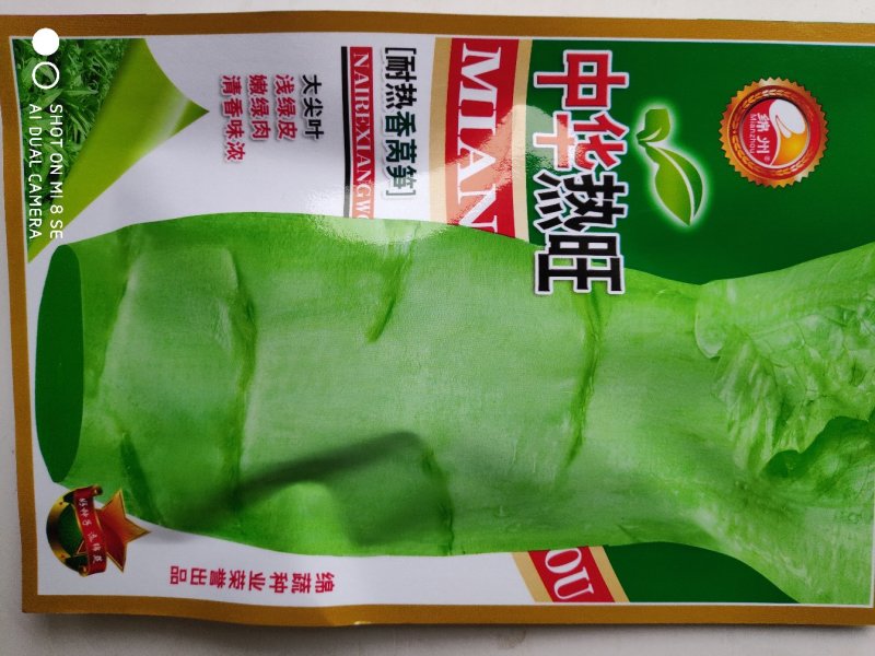 莴笋种子中华热旺耐热大尖叶莴笋种子