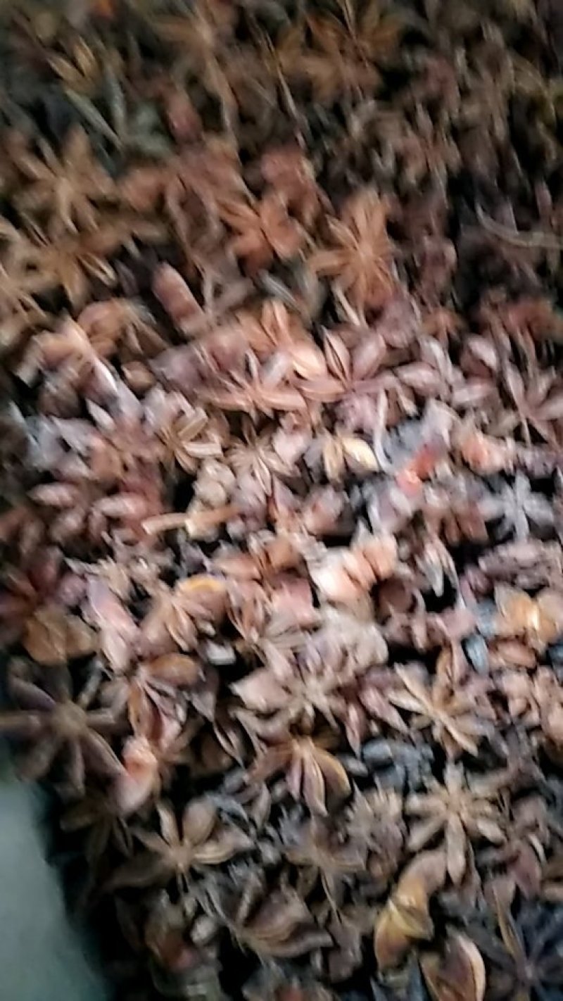 八角