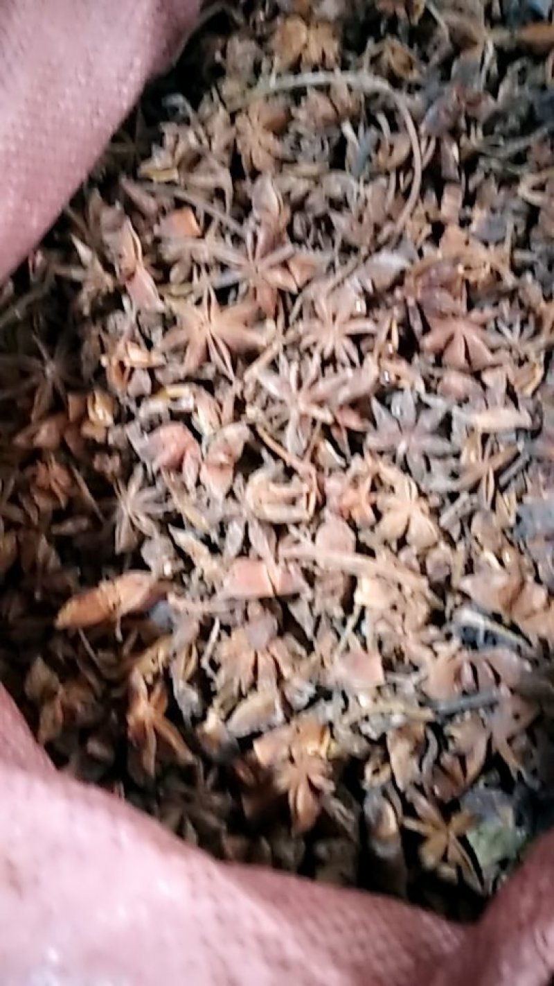 八角