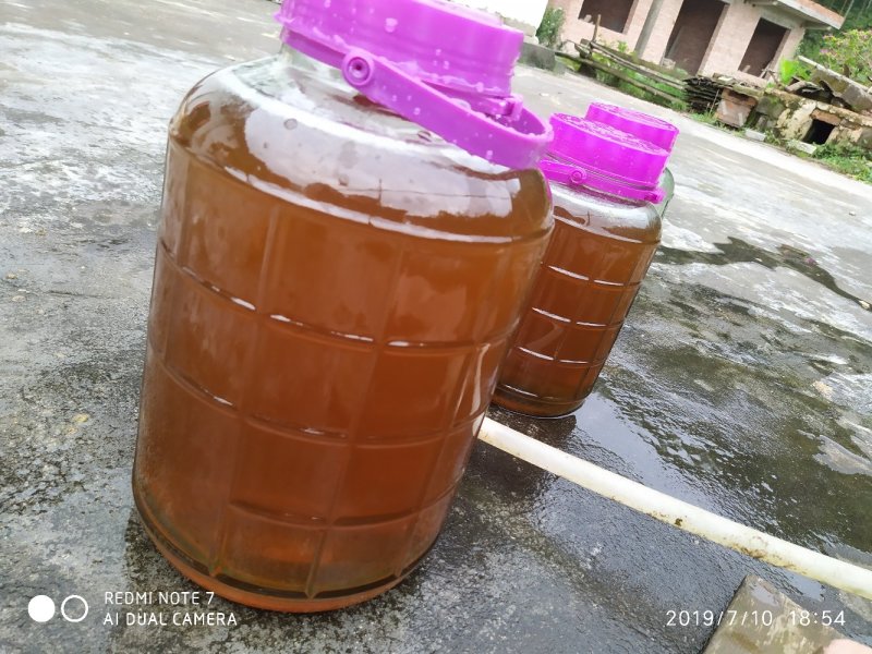 纯正乌桕蜜
