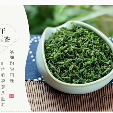 小叶苦丁