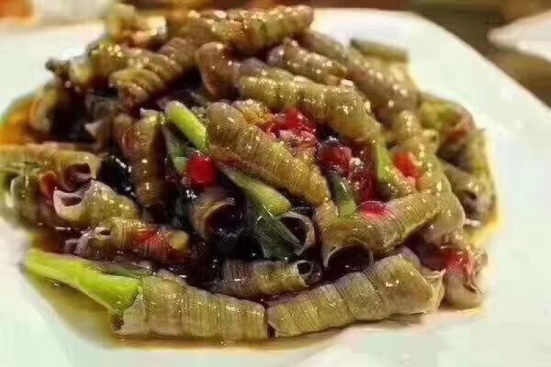 新鲜钉螺鲜活去尾钉螺螺狮螺丝海鲜水产麻辣钉螺