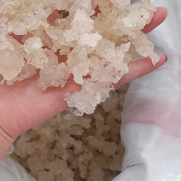 缅甸拉丝雪燕