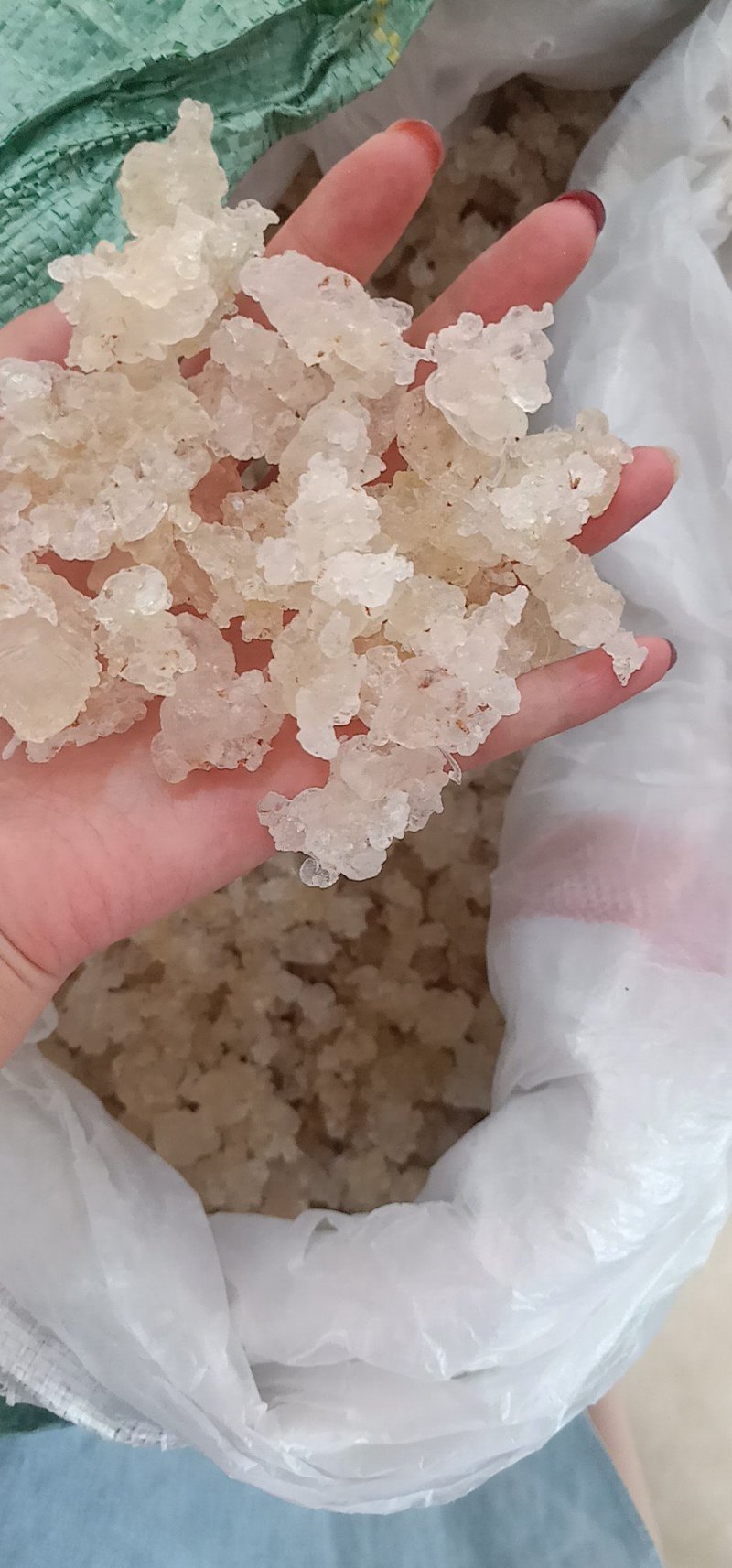 缅甸拉丝雪燕
