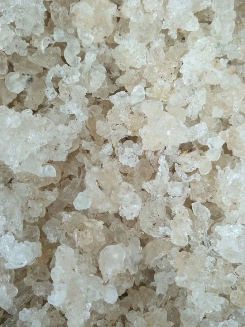 缅甸拉丝雪燕