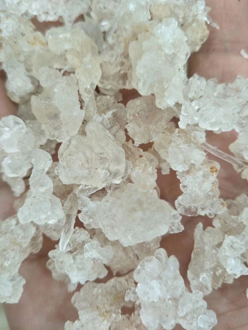缅甸拉丝雪燕
