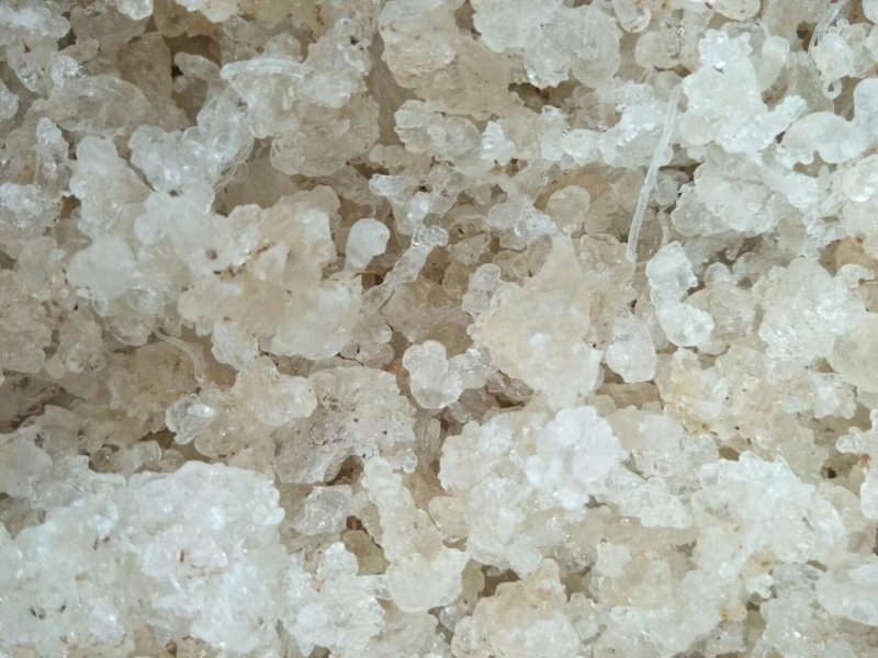 缅甸拉丝雪燕