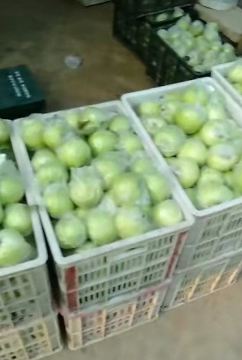 华硕青苹果