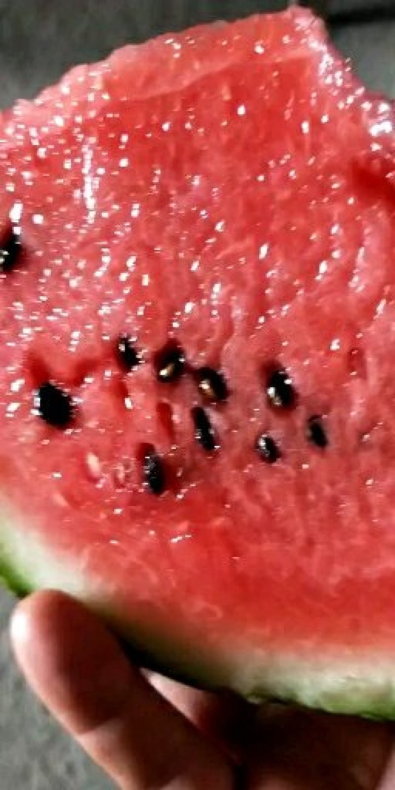 美都8424西瓜精品二茬瓜