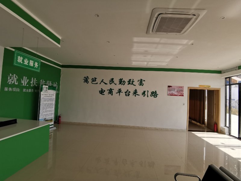 蒙城县刘大寨村扶贫产品