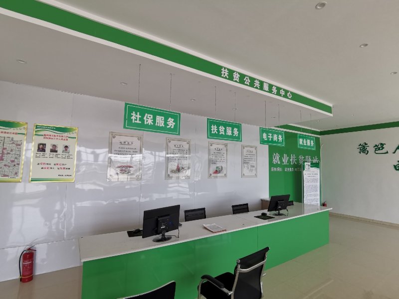 蒙城县刘大寨村扶贫产品