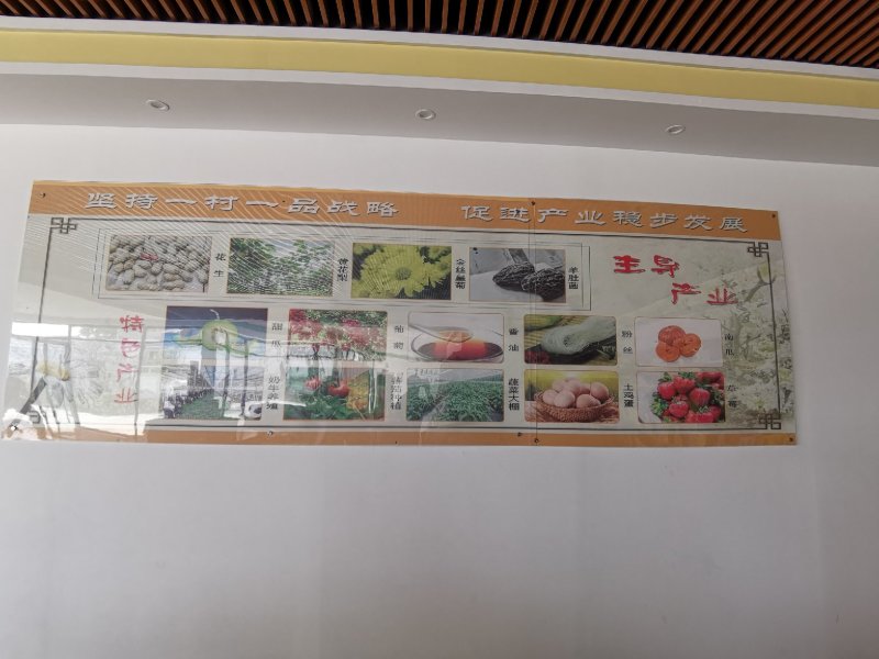 蒙城县刘大寨村扶贫产品