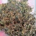 绞股蓝新货绞股蓝茶泡茶各种中药材批发